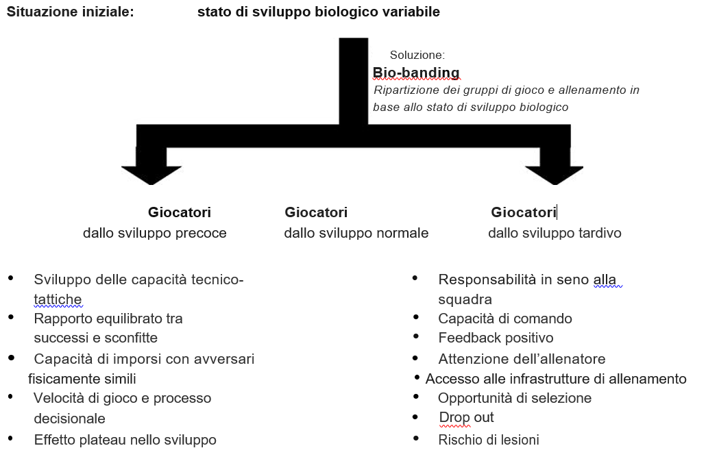 Schema: iassunto delle aspettative nei confronti del bio-banding per i giocatori a sviluppo precoce e tardivo.