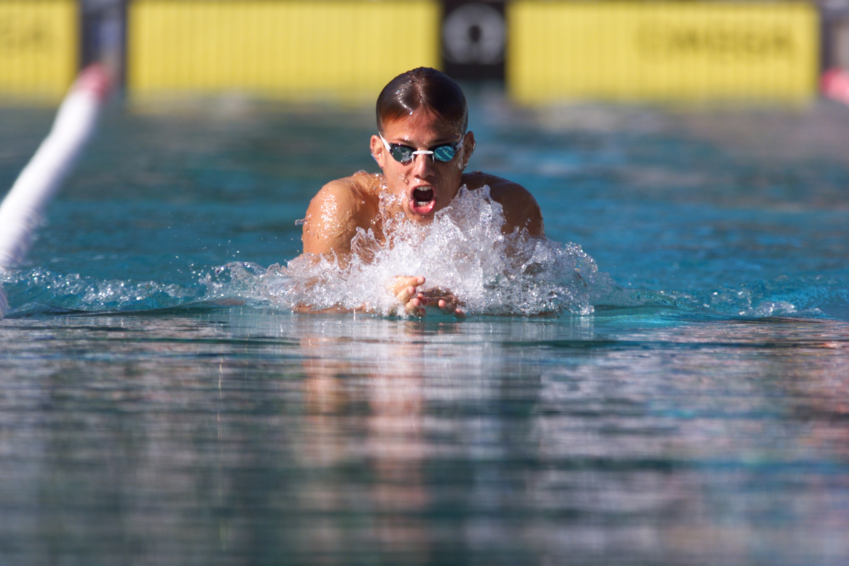 Schwimmen Einmal Schwimmer, immer Schwimmer » mobilesport.ch