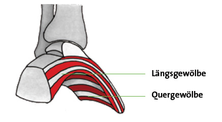 Fusstraining: Ein anatomisches Meisterwerk » mobilesport.ch