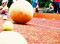 J+S-Kids – Gymnastik und Tanz: Lektion 1 «Von der Murmel zum Ball»