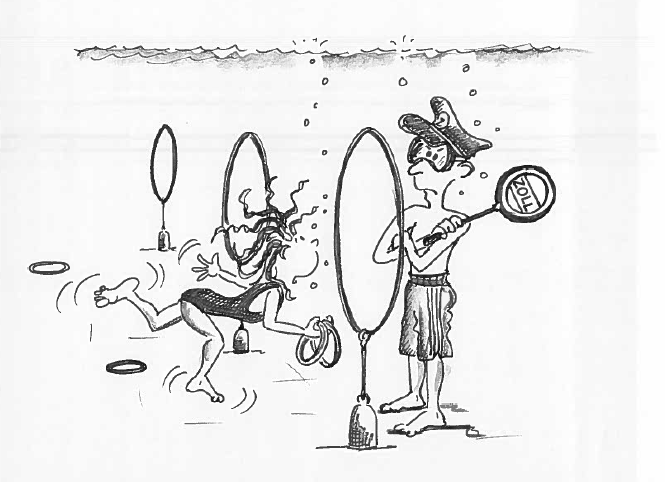schwimmen spiele schwimmen spiele
