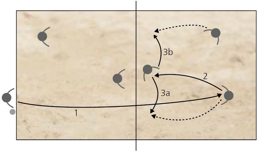 Volleyball Aufstellung : Aufstellungsriegel & Annahmeformationen im Volleyball : Spielformen 3 gegen 3 und 4 gegen 4.